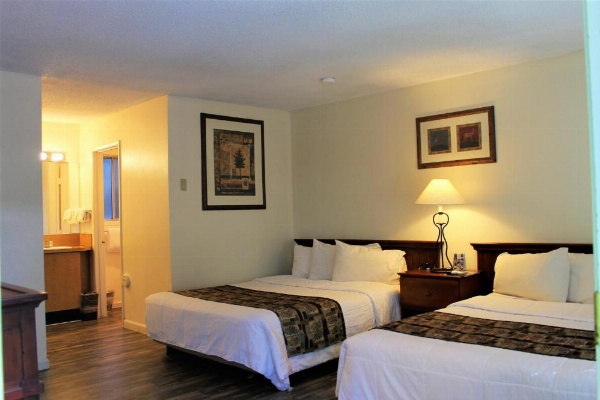 Big Pines Mountain House image 10