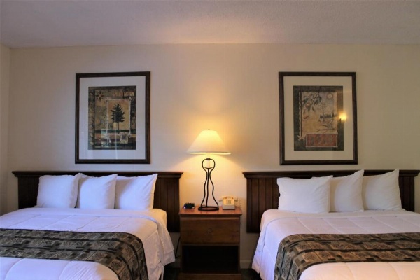 Big Pines Mountain House image 12