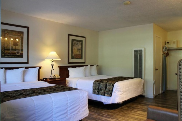 Big Pines Mountain House image 13