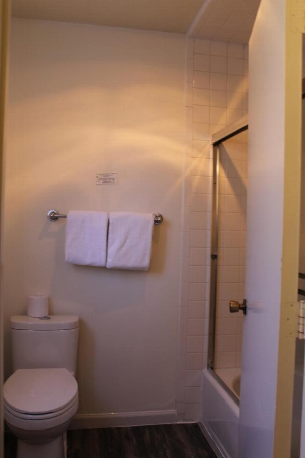 Big Pines Mountain House image 17