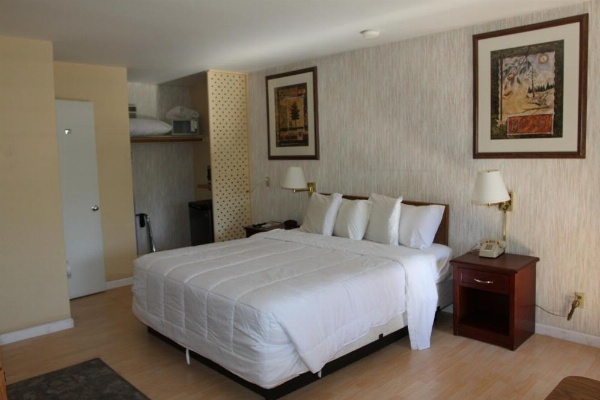 Big Pines Mountain House image 26