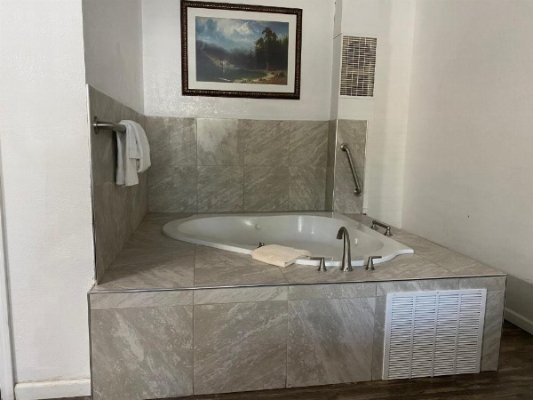 Big Pines Mountain House image 5