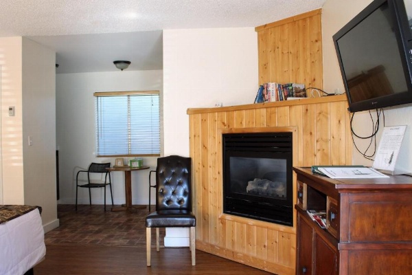 Big Pines Mountain House image 50