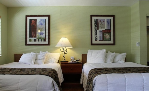 Big Pines Mountain House image 56