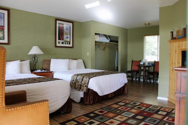 Big Pines Mountain House image 59