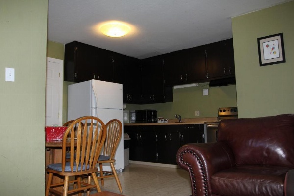 Big Pines Mountain House image 73