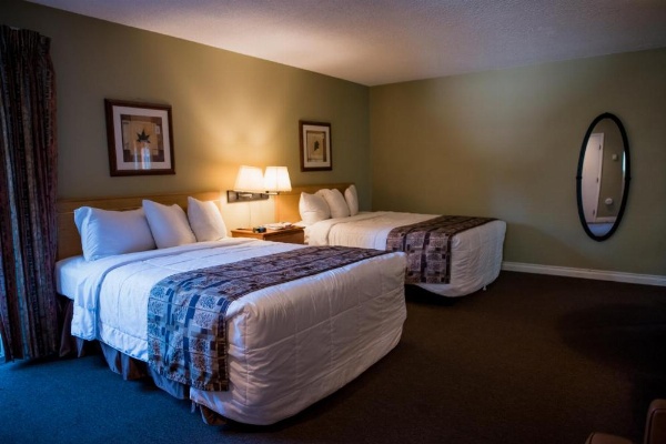 Big Pines Mountain House image 77