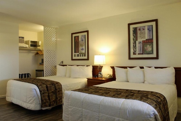 Big Pines Mountain House image 8