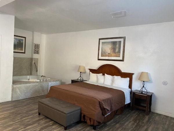 Big Pines Mountain House image 89